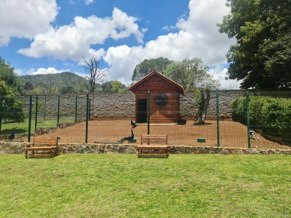 Finca Los Angeles Hospederia & Sociales Huasca de Ocampo Extérieur photo