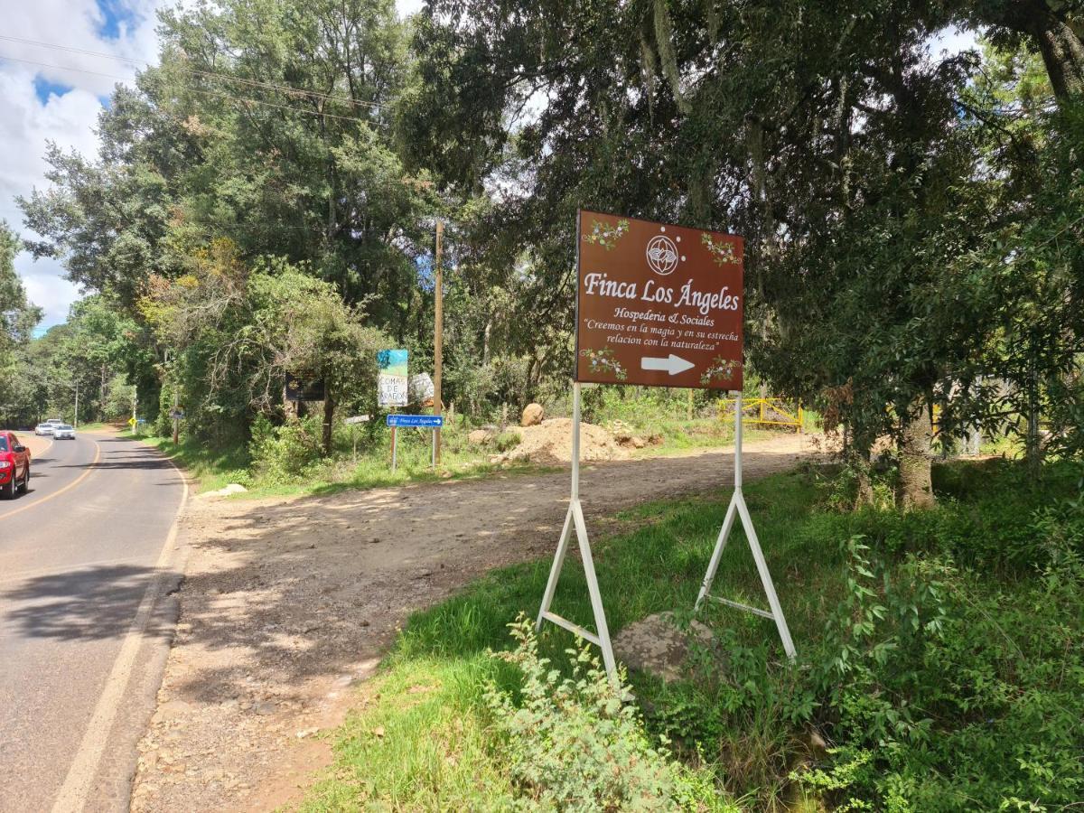 Finca Los Angeles Hospederia & Sociales Huasca de Ocampo Extérieur photo